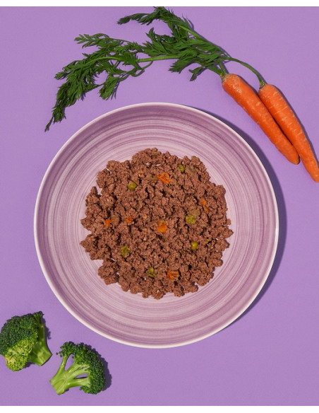 Amanova Dog Adult Brilliant Beef & Chicken - Wołowina i kurczak saszetka 300g