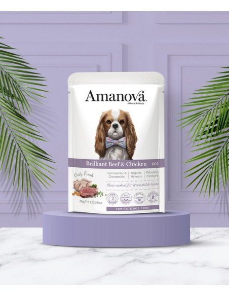 Amanova Dog Adult Brilliant Beef & Chicken - Wołowina i kurczak 100g