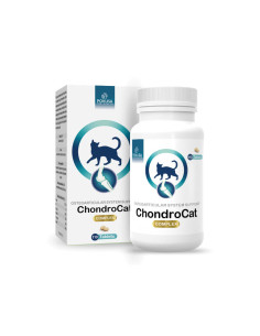Pokusa ChondroCat - Witaminy na stawy dla kota -...