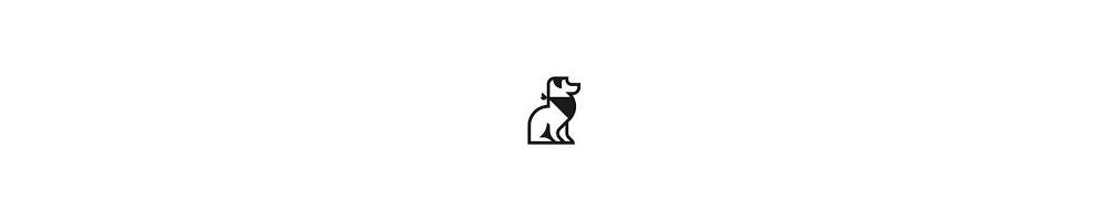 Perro