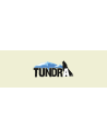 Tundra
